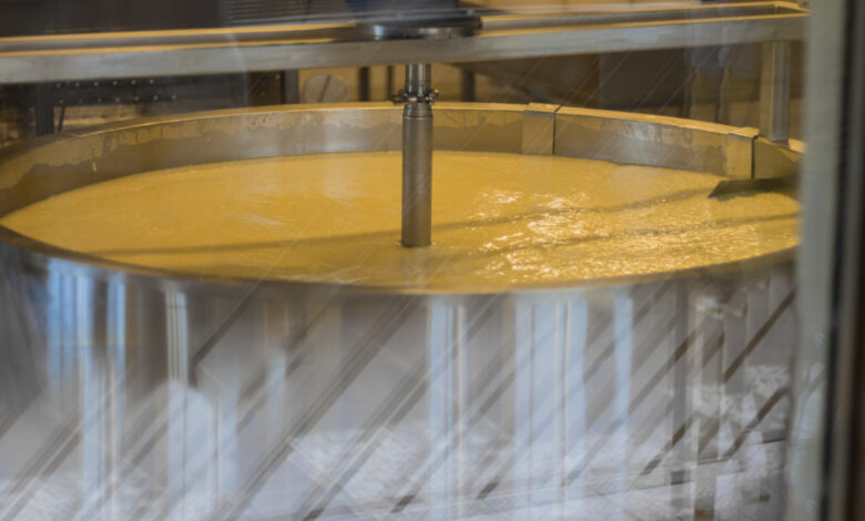 Technology of making cheese from milk on cheese factory, shot through glass of aceptic room, cooking cheese in huge metal tub. Horizontal. Flecks on glass.