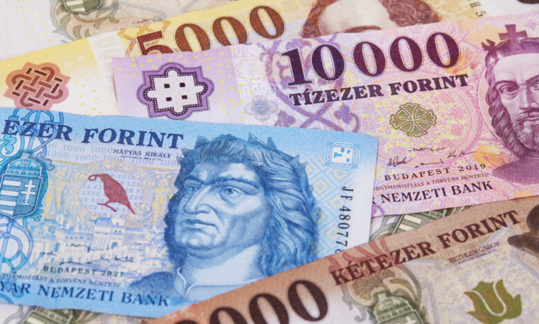 Hungarian Forint as a background