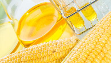 Biofuel or Corn Syrup, gasoline, energy, environmentalist