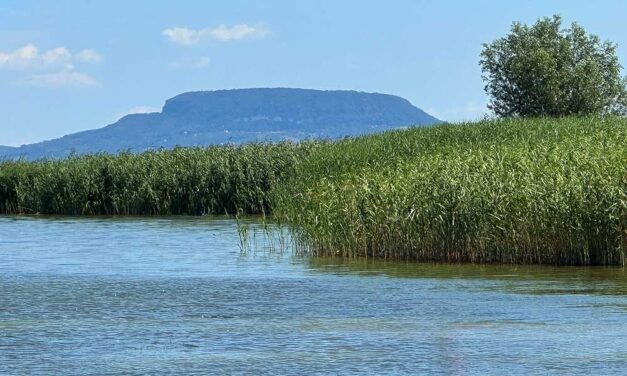A Balatont letaszítja a trónról a Tisza-tó, csak a pénztárca alapján döntenek a vevők, oda a magyar tenger varázsa?