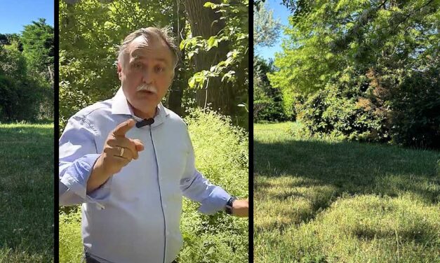 Azt kéri az új környezetvédelmi miniszter, Gajdos László, hogy májusban ne vágjunk füvet a kertben, mit szólnak majd a vendégek és a szomszédok?